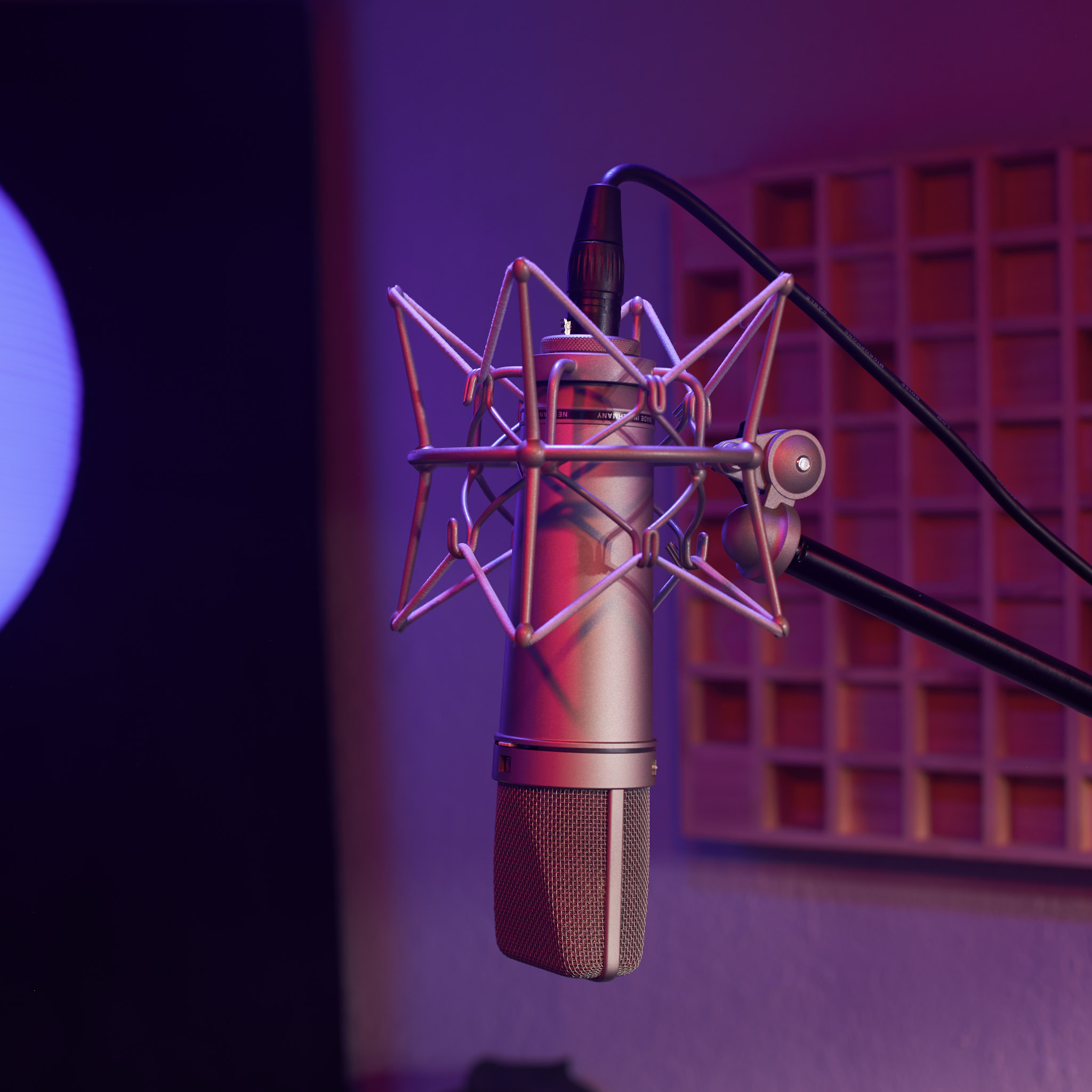 Vocal mic